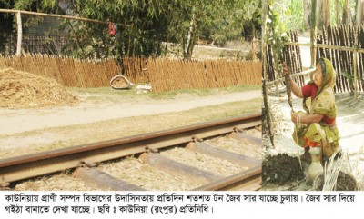 কাউনিয়ায় কর্তৃপক্ষের উদাসিনতায় শত শত টন জৈব সার যাচ্ছে চুলায়