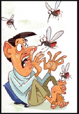 মশার জ্বালা