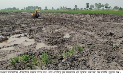 আদমদীঘিতে বিলে প্রাকৃতিক মৎস্য পোনা উৎপাদনে খনন করা হচ্ছে নার্সারি 