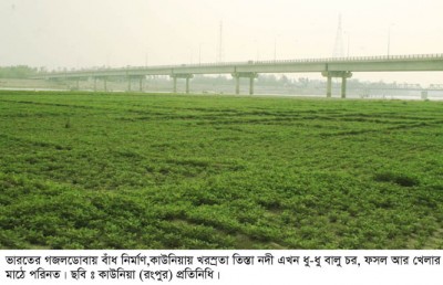 কাউনিয়া খরস্রোতা তিস্তা নদী এখন ধু-ধু বালু চর,ফসল আর খেলার মাঠ, কর্তৃপক্ষের দৃষ্টি নেই