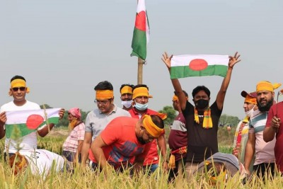 মেহেরপুরে কৃষকের ধান কেটে দিল যুবলীগ