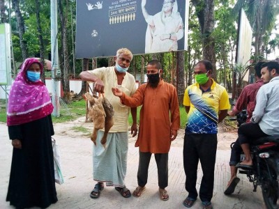 কাউনিয়ায় বিষ দিয়ে ১০টি হাঁস মারার অভিযোগ