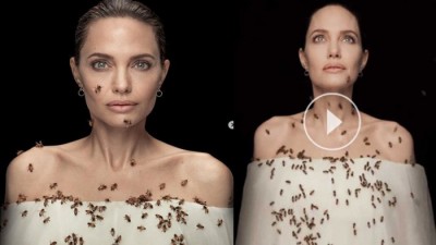 অ্যাঞ্জেলিনা জোলির সারা শরীরে বেয়ে বেড়াচ্ছে জীবন্ত মৌমাছি