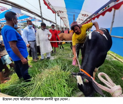 লৌহজংয়ে দিনব্যাপী প্রাণিসম্পদ প্রদর্শনী লৌহজংয়ে দিনব্যাপী প্রাণিসম্পদ প্রদর্শনী