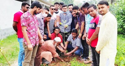 বগুড়ায় ছাত্রদলের বৃক্ষরোপন কর্মসূচি পালিত বগুড়ায় ছাত্রদলের বৃক্ষরোপন কর্মসূচি পালিত