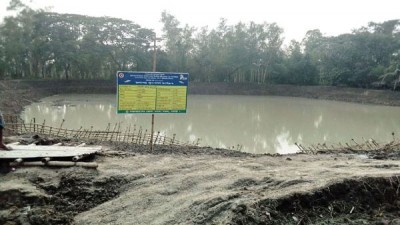 নন্দীগ্রামে কাগজী পুকুরে মাছ চাষ করে স্বাবলম্বী হবার স্বপ্ন দেখছে সুফলভোগীরা নন্দীগ্রামে কাগজী পুকুরে মাছ চাষ করে স্বাবলম্বী হবার স্বপ্ন দেখছে সুফলভোগীরা