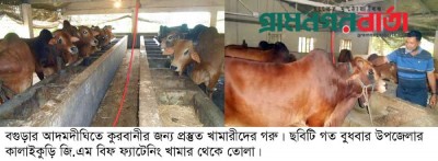 লকডাউনের কারণে আদমদীঘির গরুর খামারীরা দুশ্চিন্তায় লকডাউনের কারণে আদমদীঘির গরুর খামারীরা দুশ্চিন্তায়