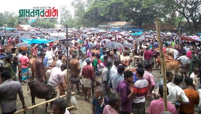 নন্দীগ্রামে পশুর হাটে স্বাস্থ্যবিধি উপেক্ষিত নন্দীগ্রামে পশুর হাটে স্বাস্থ্যবিধি উপেক্ষিত