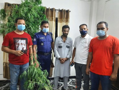 আদমদীঘিতে ৪টি গাঁজার গাছসহ যুবক গ্রেপ্তার আদমদীঘিতে ৪টি গাঁজার গাছসহ যুবক গ্রেপ্তার