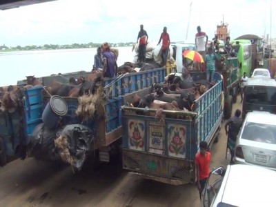 বাংলাবাজার-শিমুলিয়া ঘাটে পশুবাহী ট্রাক ও পন্যবাহী ট্রাকের দীর্ঘ সারি বাংলাবাজার-শিমুলিয়া ঘাটে পশুবাহী ট্রাক ও পন্যবাহী ট্রাকের দীর্ঘ সারি