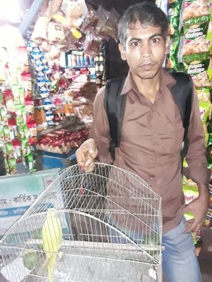 বগুড়ায় শেরপুরে বন্দী টিয়াপাখির মুক্তি বগুড়ায় শেরপুরে বন্দী টিয়াপাখির মুক্তি