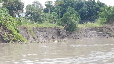 লৌহজংয়ে ইছামতির ভাঙনের মুখে ফুলকুচি গ্রাম লৌহজংয়ে ইছামতির ভাঙনের মুখে ফুলকুচি গ্রাম