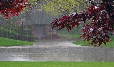 বর্ষার আনন্দে ভাসে প্রকৃতি