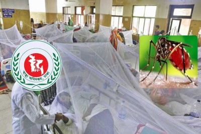 দেশে ডেঙ্গু রোগী কমছে