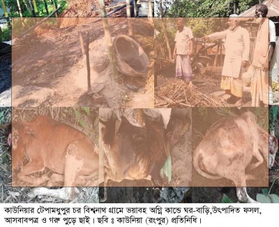 টেপামধুপুরে অগ্নিকান্ডে গরুসহ ঘর-বাড়ী পুড়ে ছাই টেপামধুপুরে অগ্নিকান্ডে গরুসহ ঘর-বাড়ী পুড়ে ছাই