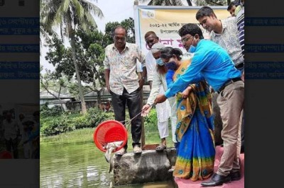 শিবগঞ্জে কার্পজাতীয় পোনামাছ অবমুক্তকরণ