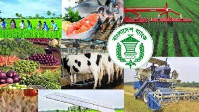 কৃষিখাতে স্বল্পসুদে ৩ হাজার কোটি টাকার নতুন প্রণোদনা