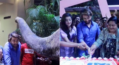 শাকিব খানকে জন্মদিনের শুভেচ্ছা জানাতে আনা হলো হাতি শাকিব খানকে জন্মদিনের শুভেচ্ছা জানাতে আনা হলো হাতি