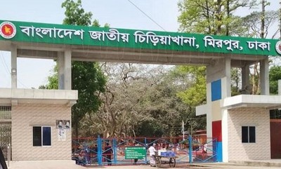 অনির্দিষ্টকালের জন্য চিড়িয়াখানা বন্ধ ঘোষণা অনির্দিষ্টকালের জন্য চিড়িয়াখানা বন্ধ ঘোষণা