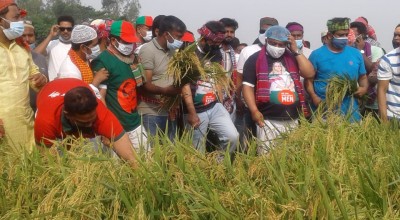 শ্রীনগরে আড়িয়াল বিলের কৃষকের ধান কেটে দিলেন কেন্দ্রীয় স্বেচ্ছাসেবক লীগ শ্রীনগরে আড়িয়াল বিলের কৃষকের ধান কেটে দিলেন কেন্দ্রীয় স্বেচ্ছাসেবক লীগ