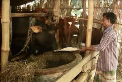 মাদারীপুরে করোনাকালে ক্ষতিগ্রস্থ খামারীদের দেয়া প্রণোদনার কোটি কোটি টাকা লোপাট মাদারীপুরে করোনাকালে ক্ষতিগ্রস্থ খামারীদের দেয়া প্রণোদনার কোটি কোটি টাকা লোপাট
