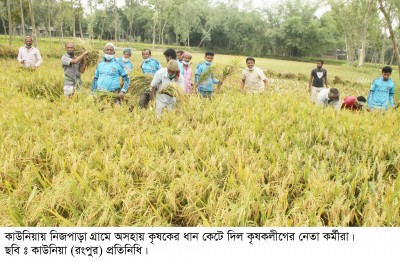 অসহায় শতিশ চন্দ্রের ধান কেটে দিলো কাউনিয়ায় উপজেলা কৃষকলীগ নেতাকর্মী