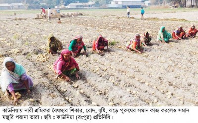 নারী শ্রমিকেরা কাউনিয়ায় মজুরী বৈষম্যের শিকার, মে দিবসে উৎসব নেই