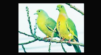 কোথায় প্রকৃত সুখ কোথায় প্রকৃত সুখ