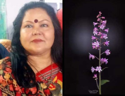 ক্ষত ক্ষত
