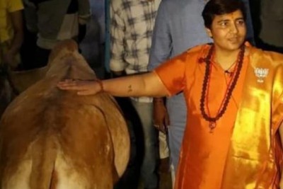 আমি প্রতিদিন গোমূত্র পান করি, তাই আমার করোনা হয়নি: বিজেপি এমপি প্রজ্ঞা ঠাকুর আমি প্রতিদিন গোমূত্র পান করি, তাই আমার করোনা হয়নি: বিজেপি এমপি প্রজ্ঞা ঠাকুর