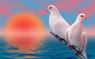 অভিমান অভিমান