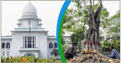 আদালত অবমাননার শুনানি মুলতবি, সোহরাওয়ার্দীতে গাছ কাটা আপাতত বন্ধই থাকছে