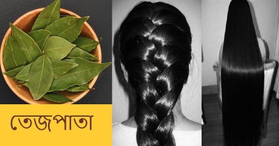 তেজপাতায় স্বাস্থ্যোজ্জল চুল তেজপাতায় স্বাস্থ্যোজ্জল চুল