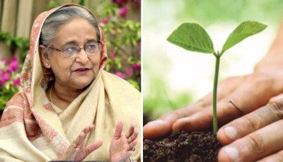 শনিবার জাতীয় বৃক্ষরোপণ অভিযান উদ্বোধন করবেন প্রধানমন্ত্রী শনিবার জাতীয় বৃক্ষরোপণ অভিযান উদ্বোধন করবেন প্রধানমন্ত্রী