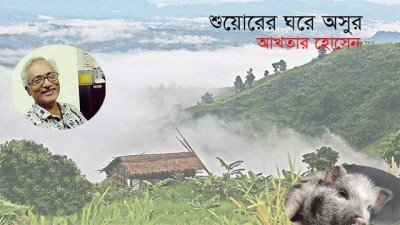 শুয়োরের ঘরে অসুর শুয়োরের ঘরে অসুর