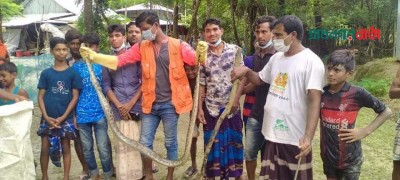 বাগেরহাটে লোকালয় থেকে দুই অজগর উদ্ধার