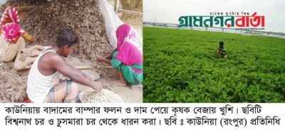 করোনাকে উপেক্ষা করে বাদাম চাষ তিস্তা চরের মানুষের ভাগ্য বদল করোনাকে উপেক্ষা করে বাদাম চাষ তিস্তা চরের মানুষের ভাগ্য বদল