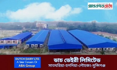 খামার জগতে বিস্ময়কর নাম ডাচ ডেইরী লিমিটেড খামার জগতে বিস্ময়কর নাম ডাচ ডেইরী লিমিটেড
