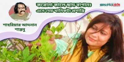করোনা কালে ছাদবাগানঃ এনে দেয় খানিকটা প্রশান্তি করোনা কালে ছাদবাগানঃ এনে দেয় খানিকটা প্রশান্তি