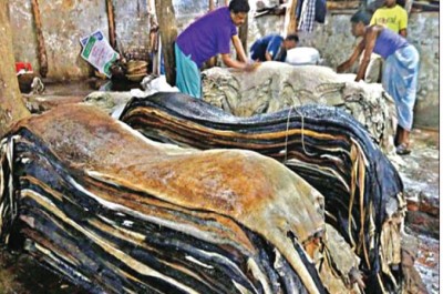 চামড়া ব্যবস্থাপনায় মন্ত্রণালয়ের তিন পর্যায়ে কমিটি গঠন চামড়া ব্যবস্থাপনায় মন্ত্রণালয়ের তিন পর্যায়ে কমিটি গঠন