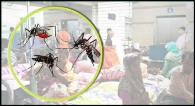 একদিনে সর্বোচ্চ ডেঙ্গু রোগী হাসপাতালে