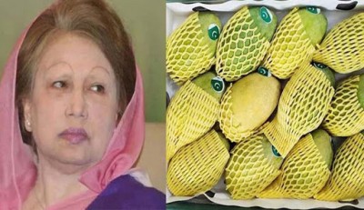 পাকিস্তানের উপহারের আম পেয়েছেন খালেদা জিয়াও পাকিস্তানের উপহারের আম পেয়েছেন খালেদা জিয়াও