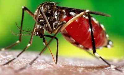 ডেঙ্গু পরিস্থিতি ভয়াবহ, আরও ২১৩ জন হাসপাতালে ডেঙ্গু পরিস্থিতি ভয়াবহ, আরও ২১৩ জন হাসপাতালে