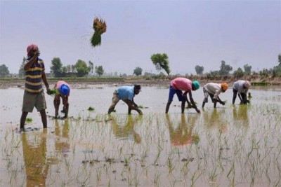 ভূমিহীন কৃষকের ছড়া ভূমিহীন কৃষকের ছড়া