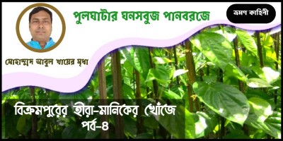 পুলঘাটার ঘনসবুজ পানবরজে পুলঘাটার ঘনসবুজ পানবরজে