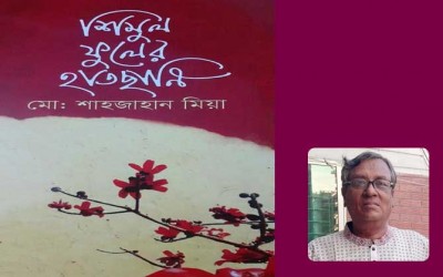 বিক্রমপুর জীবনের ইতিকথাঃ শিমুল ফুলের হাতছানি বিক্রমপুর জীবনের ইতিকথাঃ শিমুল ফুলের হাতছানি
