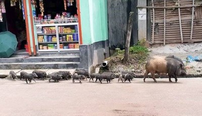 মানুষেরা সব গেলো কোথায় মানুষেরা সব গেলো কোথায়