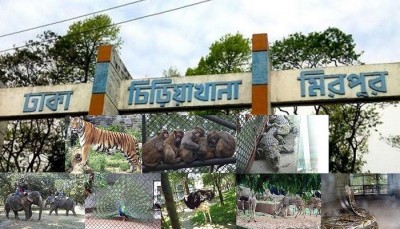 জাতীয় চিড়িয়াখানার দ্বার খুলছে জাতীয় চিড়িয়াখানার দ্বার খুলছে