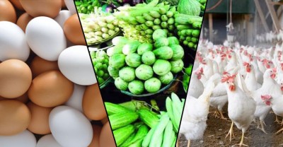 বাড়তি ডিম-মুরগির দাম, সবজি আগের দামেই বিক্রি বাড়তি ডিম-মুরগির দাম, সবজি আগের দামেই বিক্রি