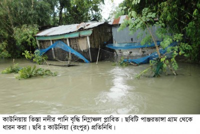 কাউনিয়ায় তিস্তার পানি বৃদ্ধি নিন্মাঞ্চল প্লাবিত, তলিয়ে গেছে আমন ক্ষেত
